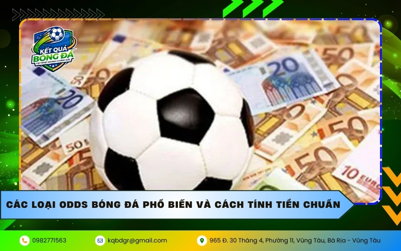 Các loại Odds bóng đá phổ biến và cách tính tiền chuẩn
