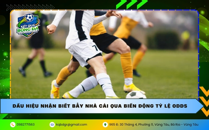 Dấu hiệu nhận biết bẫy nhà cái qua biến động tỷ lệ Odds