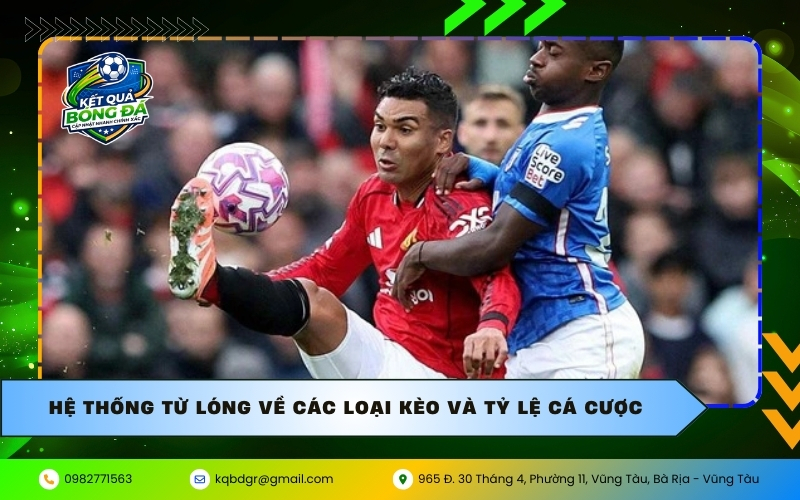 Hệ thống từ lóng về các loại kèo và tỷ lệ cá cược